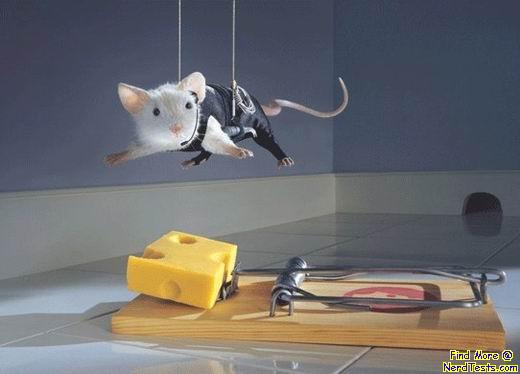 Mission in-mouse-ible